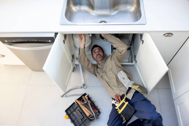 Best Plumbing Inspection Services  in Black Forest, CO